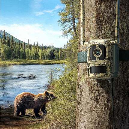 Reolink Reolink S130-C, Wildlife 8MP 4K Kamera mit Live View und Starlight
