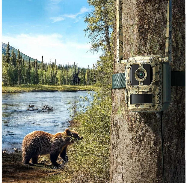 Reolink Reolink S130-C, caméra Wildlife 8MP 4K avec Live view et Starlight