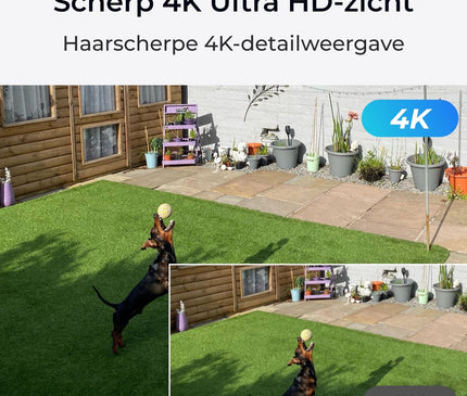 Reolink Reolink Trackmix-WiFi, 4K Dual-Lens, PTZ-Kamera mit Bewegungsverfolgung