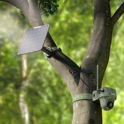 Reolink Reolink Wildlife 4K camera G450 + Solar panel 4G LTE