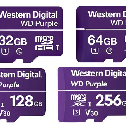 Western Digital Purple MicroSD Video-Überwachung